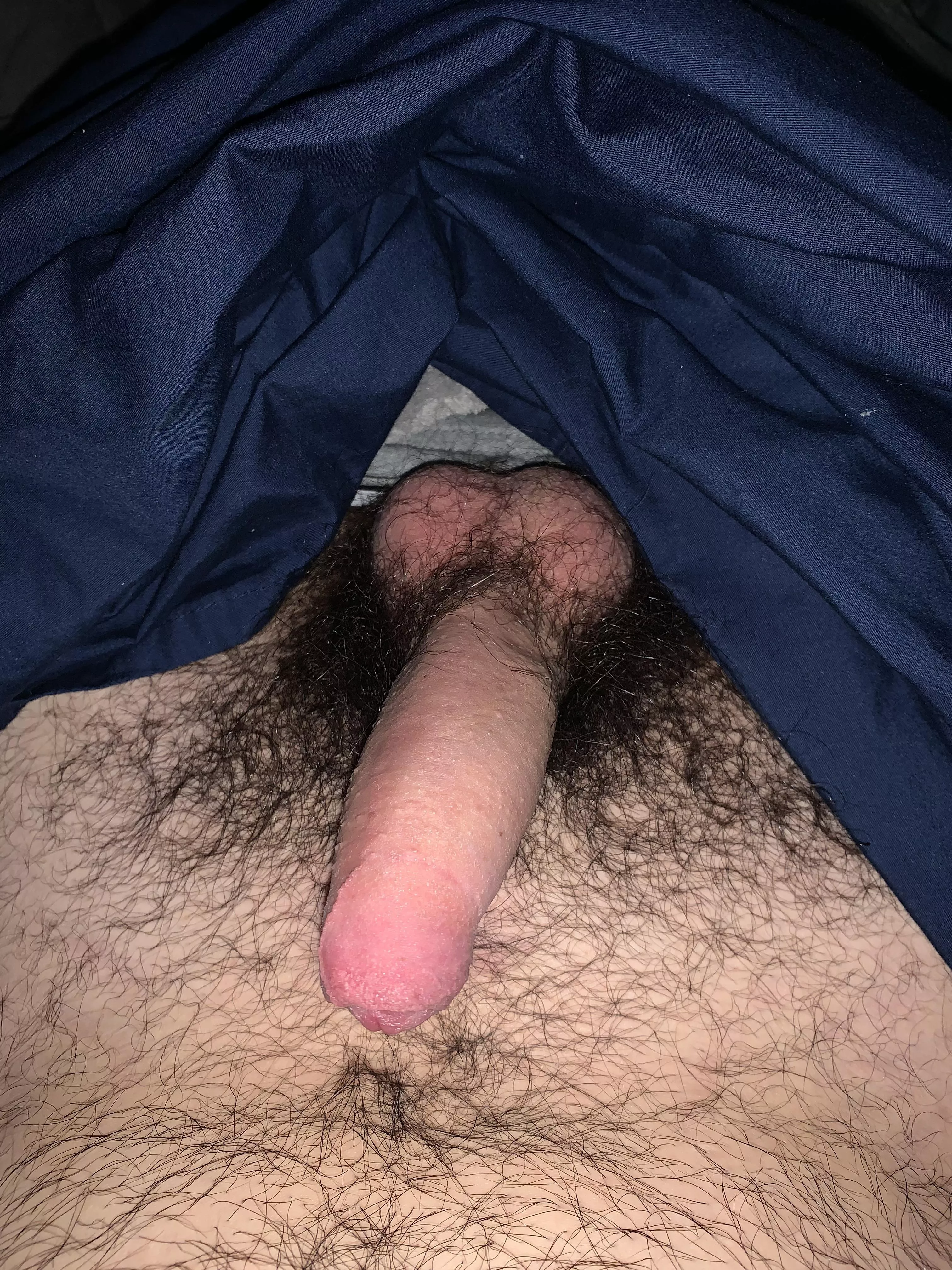 Morning Wood 🪵