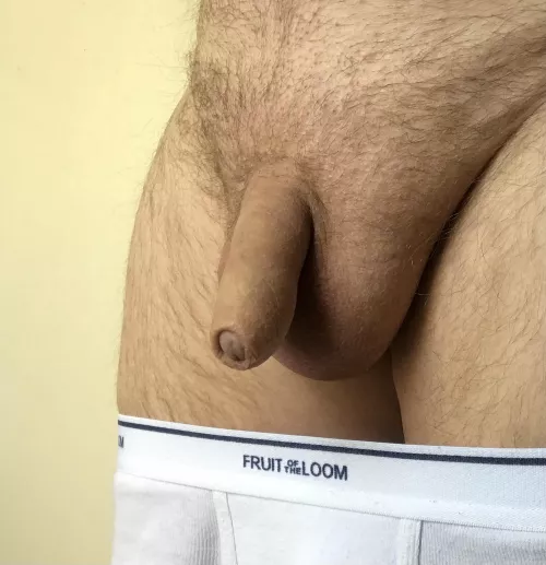 My average intact cock, grows to a respectable 5”