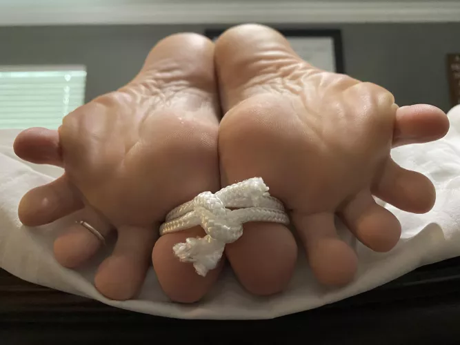 My feet are completely at your mercy 😻