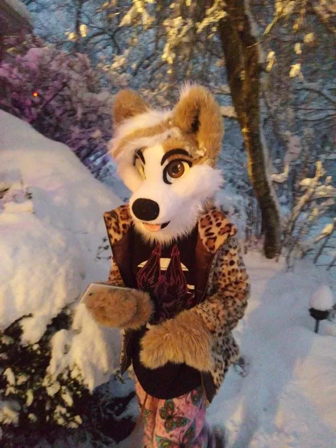 My first Fursuit Friday! This is one of my favorite pictures of mine from last winter