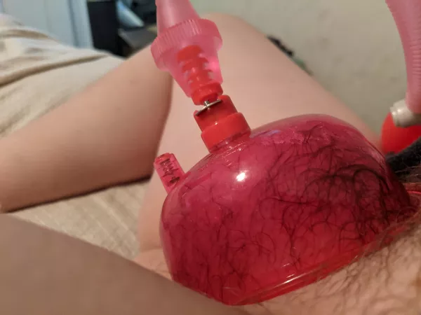 My god I love pumping my [F] needy pussy