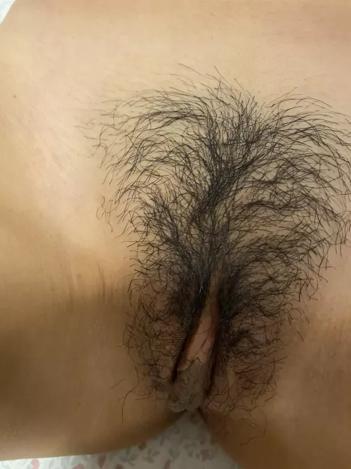 My hairy Asian pussy ♥️