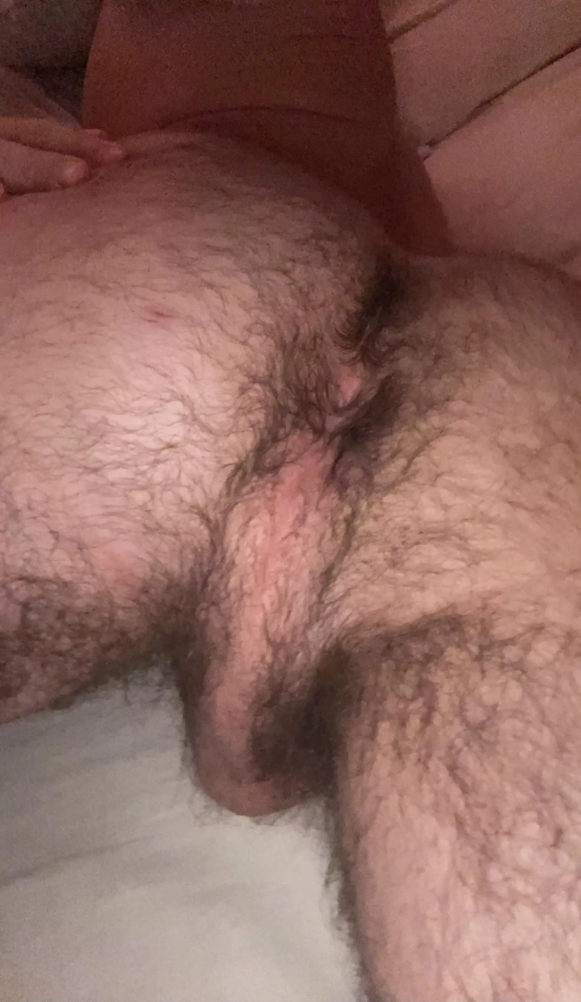 my hairy hole 🙈