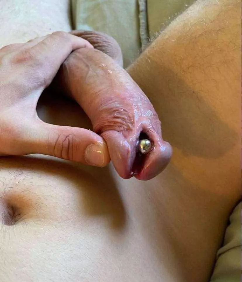 My [M]odified cock