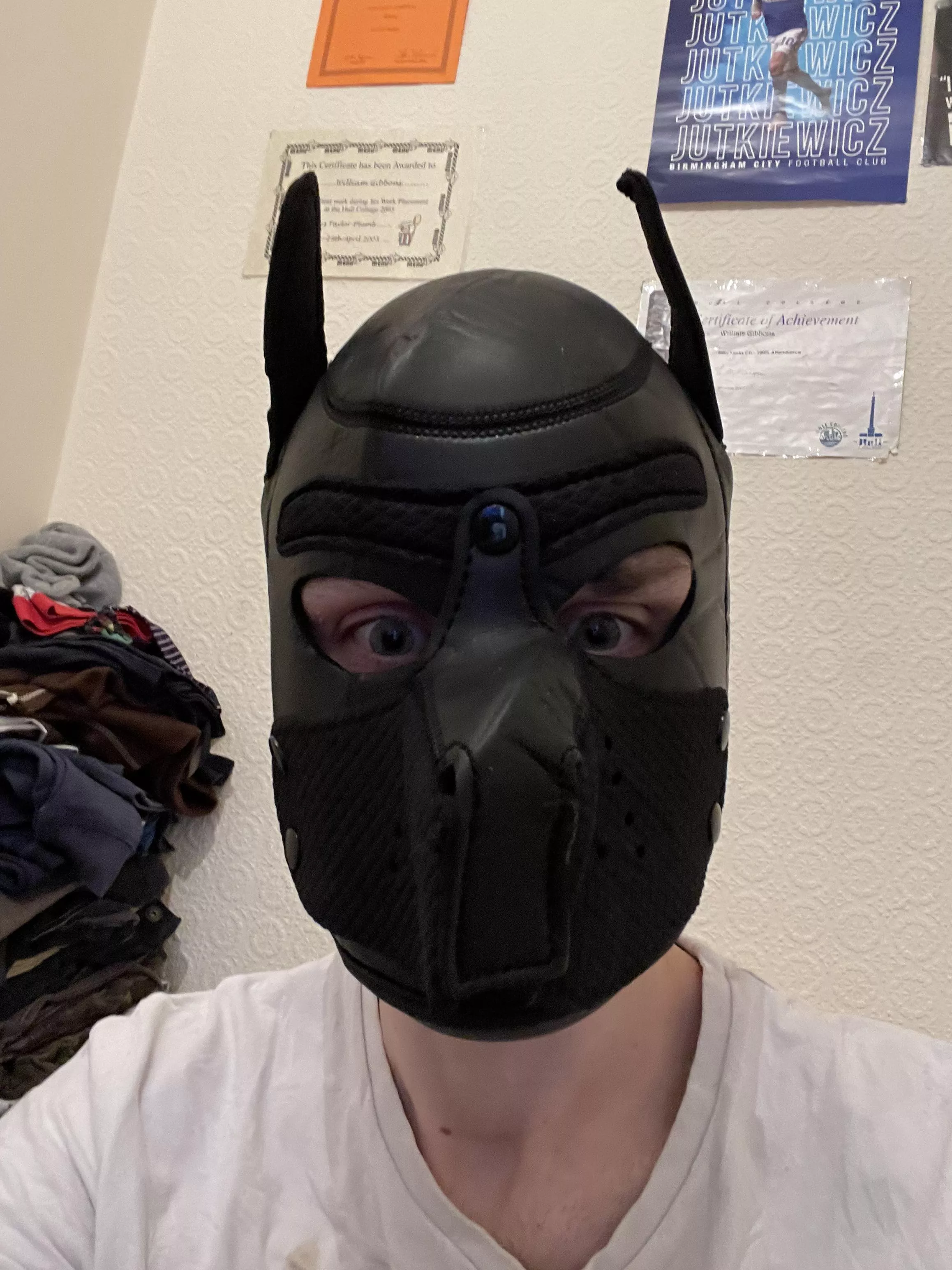 My new pup hood