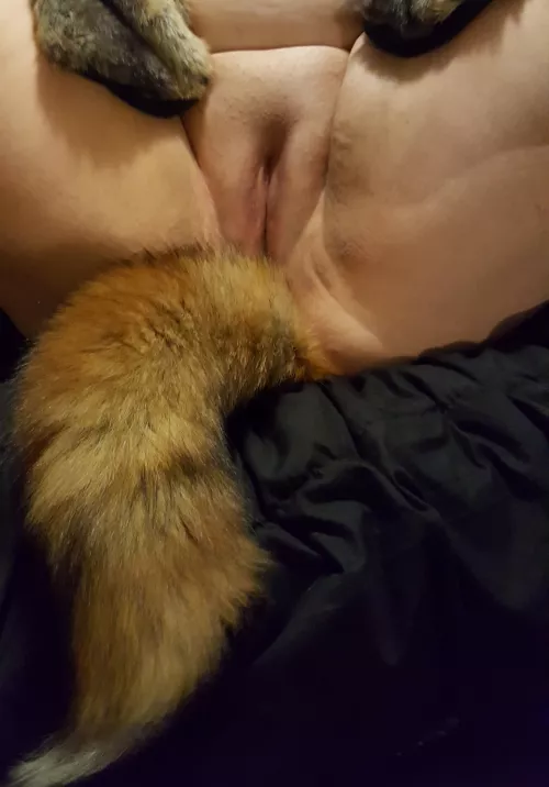 My sexy pet fox on display!