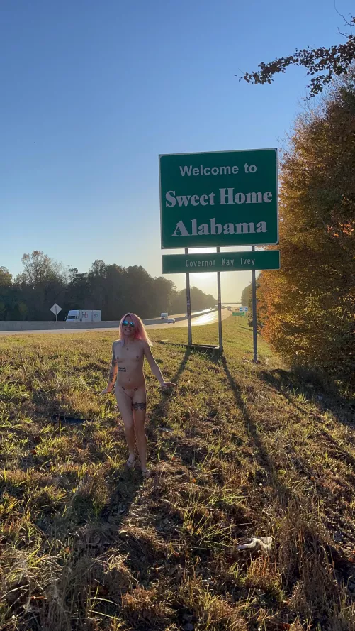 My state signs collection is growing!