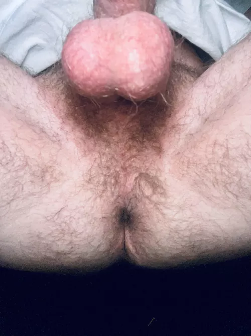 Never bottom, never really look back there. Not terrible. 🤣🐷