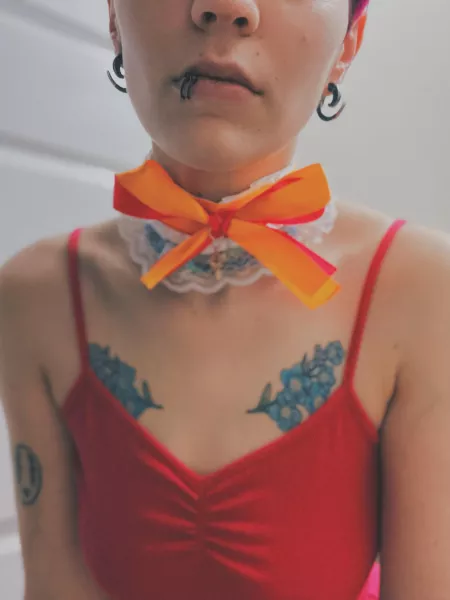 New ears and collar. I love getting new gear. What’s your favorite thing to treat yourself to?