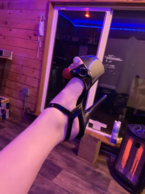 new heels from a sub 😍 should I have him lick them clean after the heel goes up his ass?