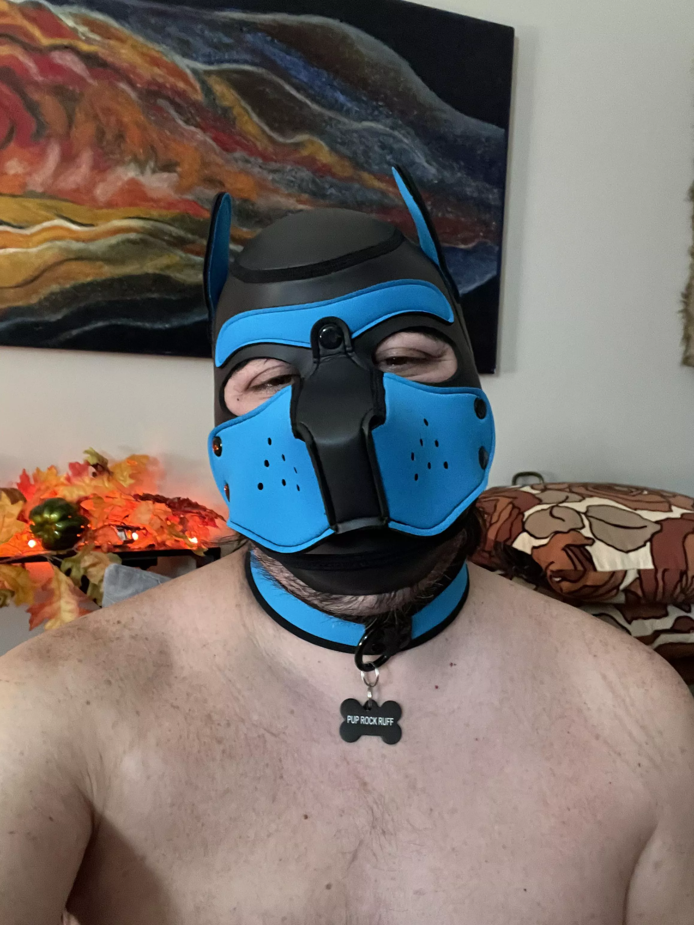 New hood and was collared on my birthday