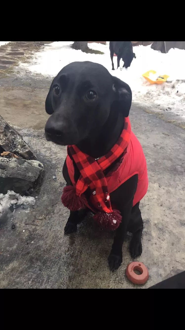 new scarf 🧣