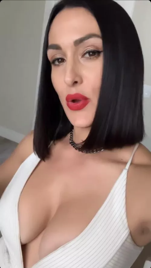 Nikki Bella has amazing breasts