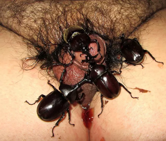 No idea what pleasure could be gained from this No idea what pleasure could be gained from this