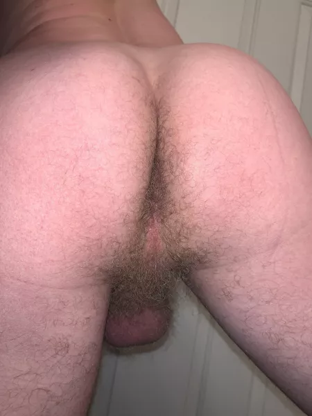 Not ashamed of my hairy taint-do you like or nah?
