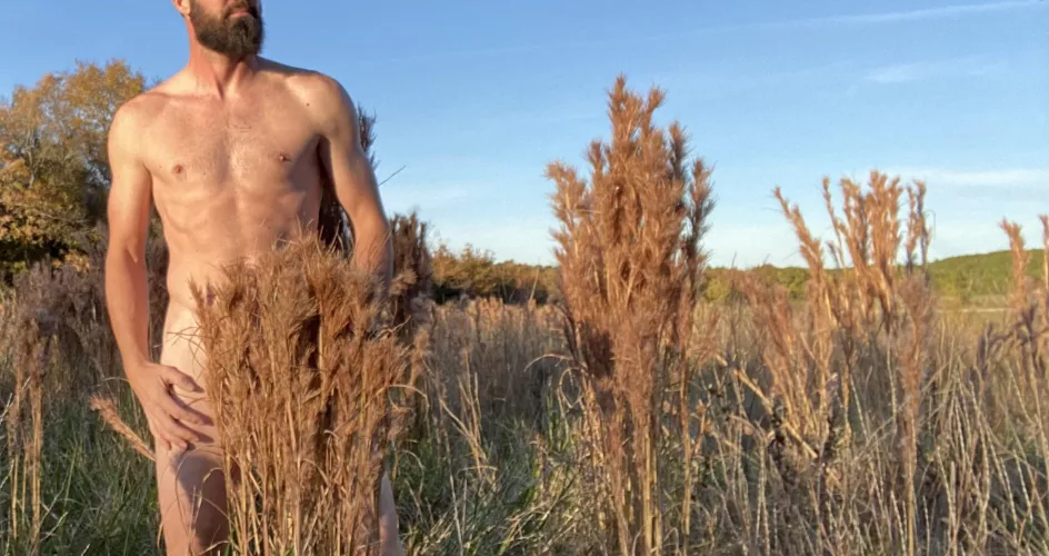 Nothing but blue skies.