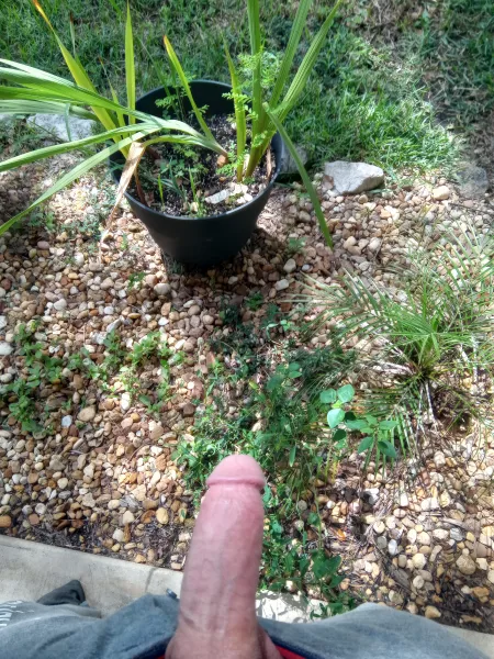 On a scale of one to ten, how would you rate my plants😉😉😉