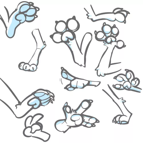 Paws doodles