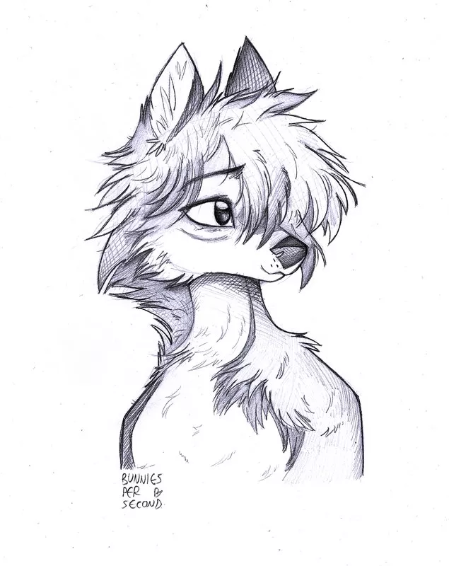 Pencil sona portraits! (20 usd, character by wahots wolf)