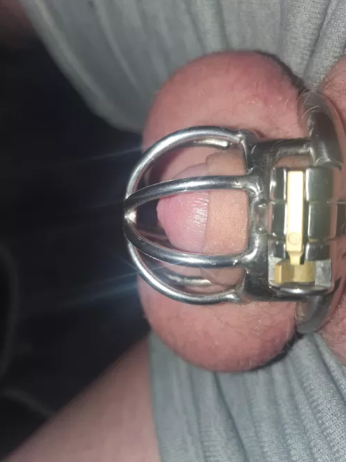 Permanent chastity has definitely caused some shrinkage 🤏