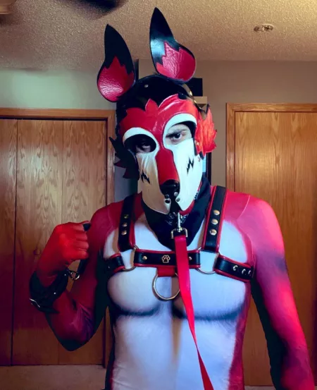 Pet suit came in 😏