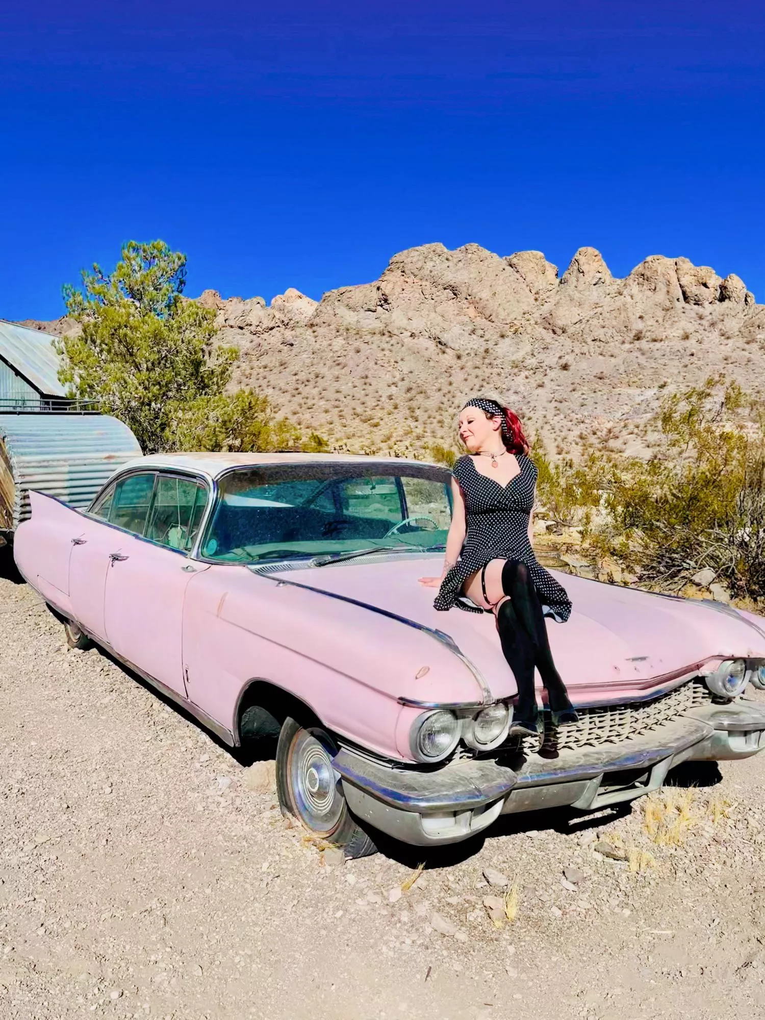 Pink Cadillac in Nelson, Nevada