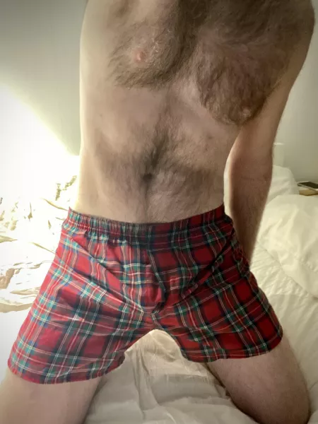 Plaid Hanes