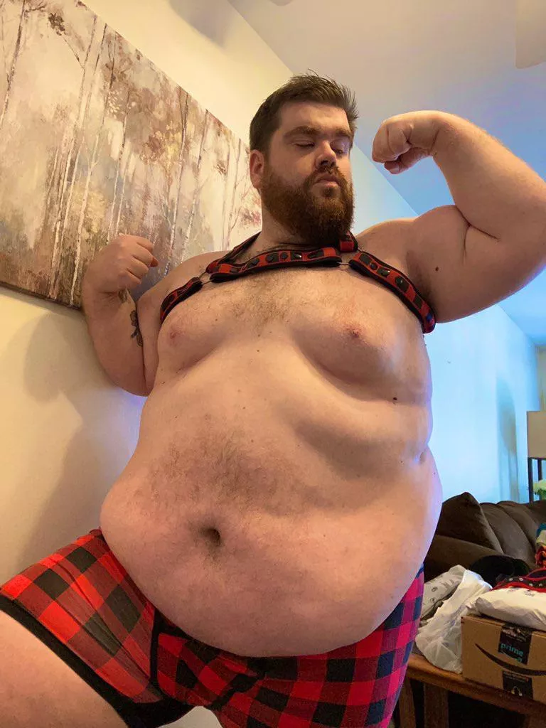 Plaid season!