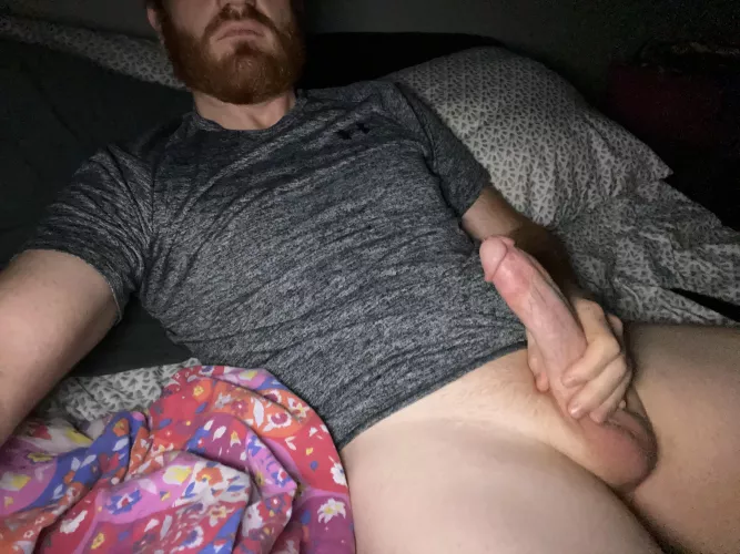 Playing with my ginger cock Playing with my ginger cock