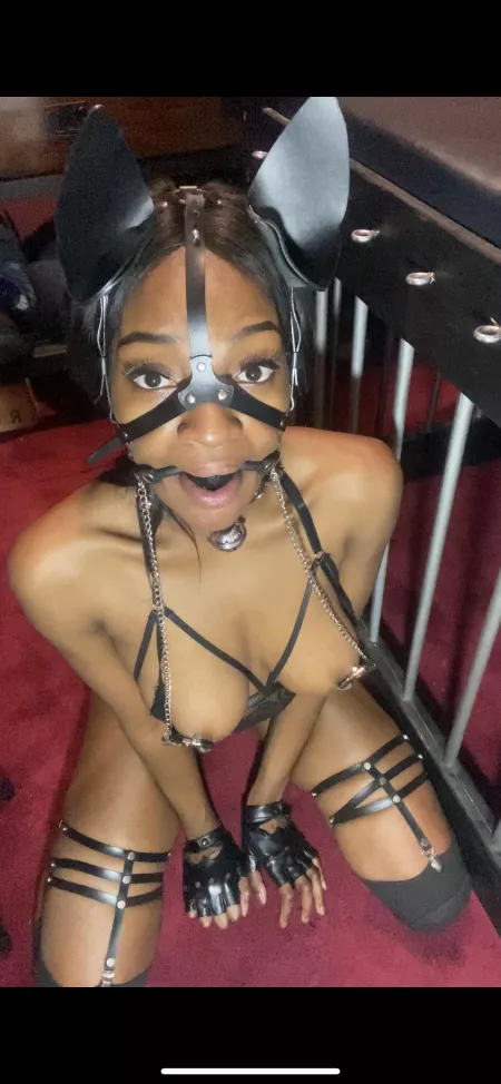 Please be gentle 🥺