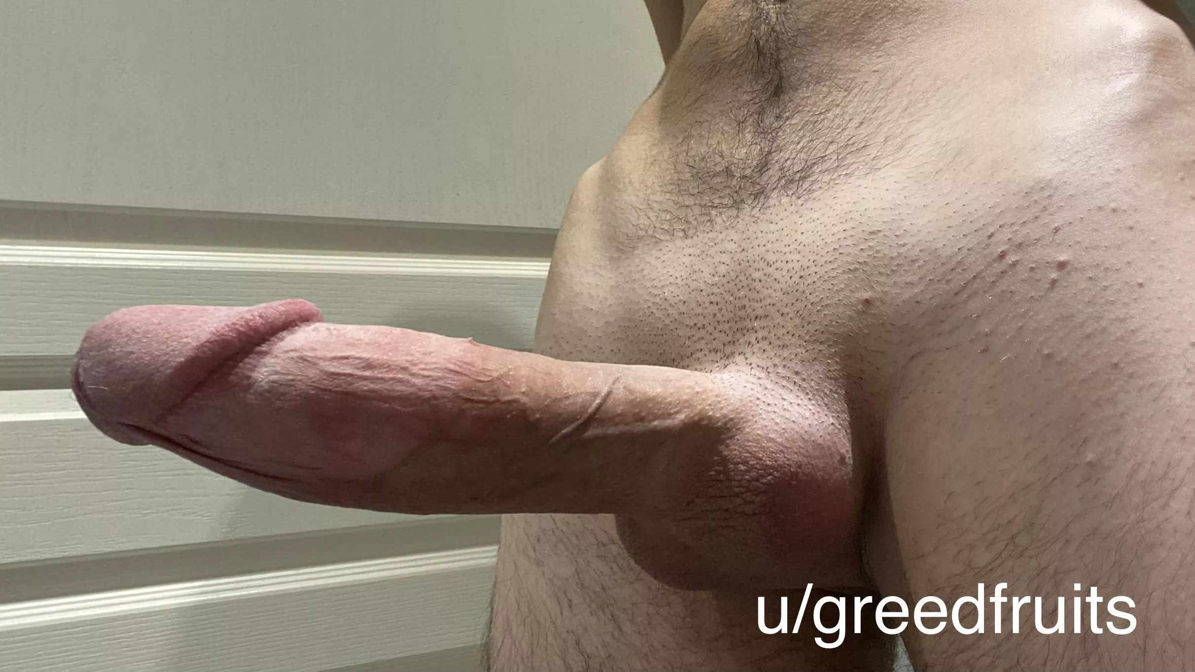 Please don’t interact unless you’d suck my fat cock