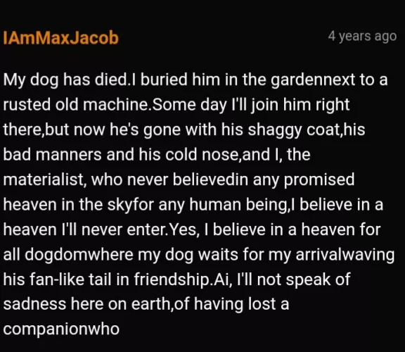 Poor dog