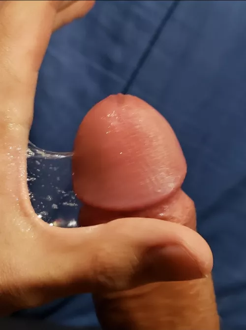 Precum sunday Precum sunday