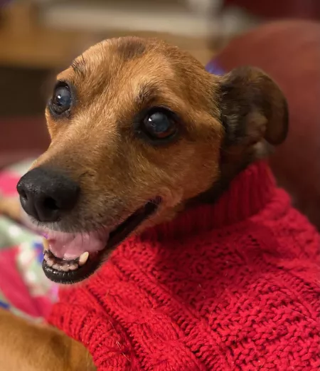 Pretty pretty princess