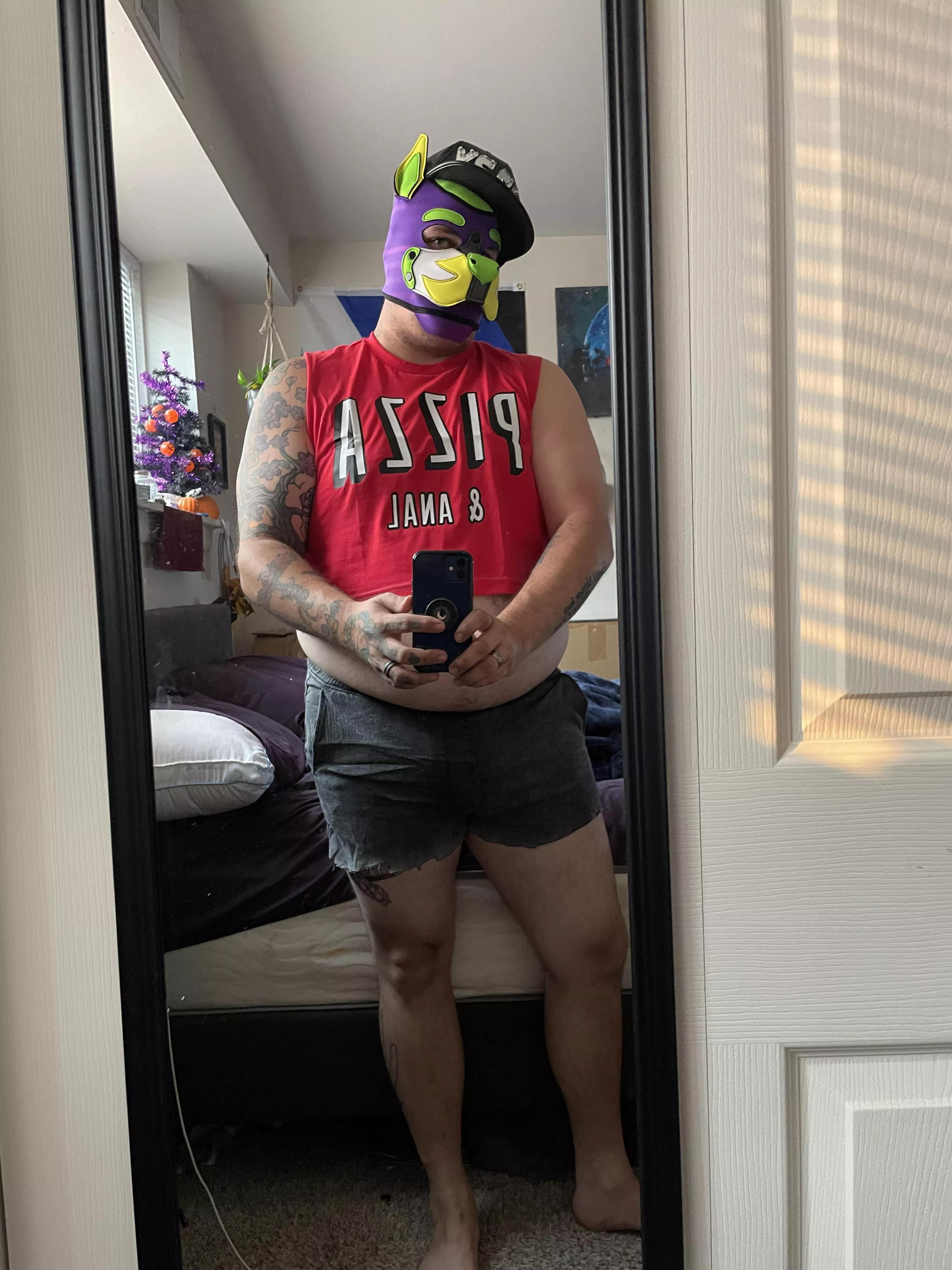 Pup got a new shirt! Whatcha think?