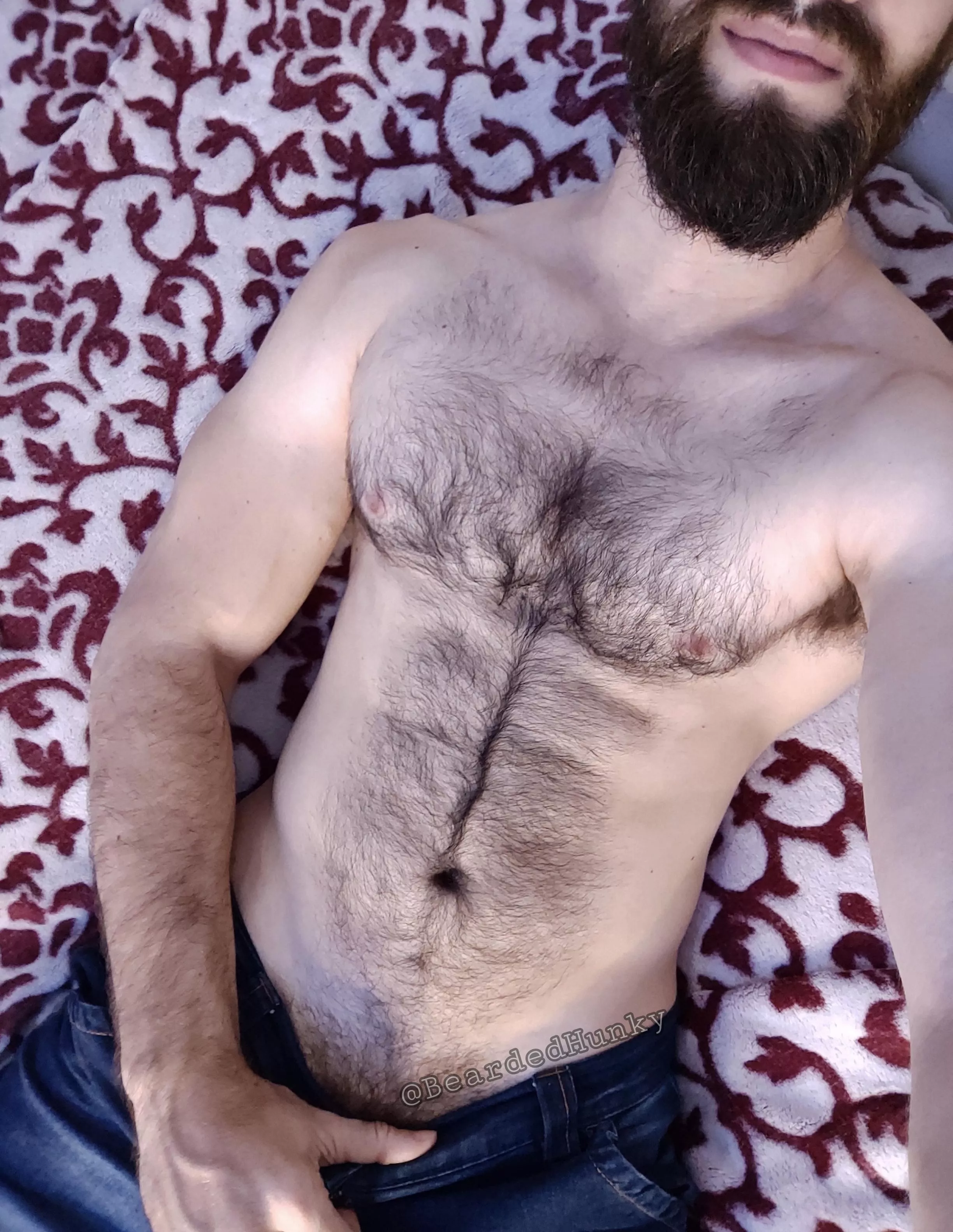 Pure chest hair porn