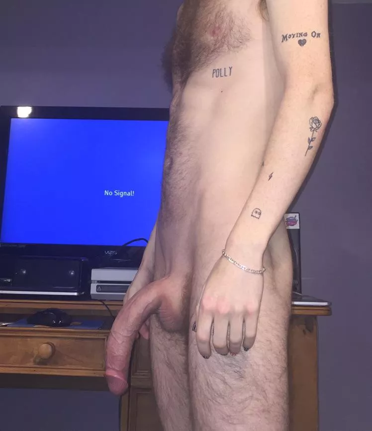 Quarter chub