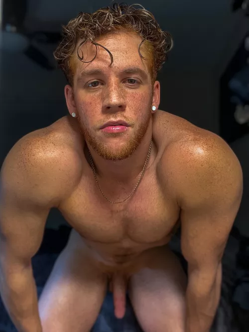 Redbeard’n boner