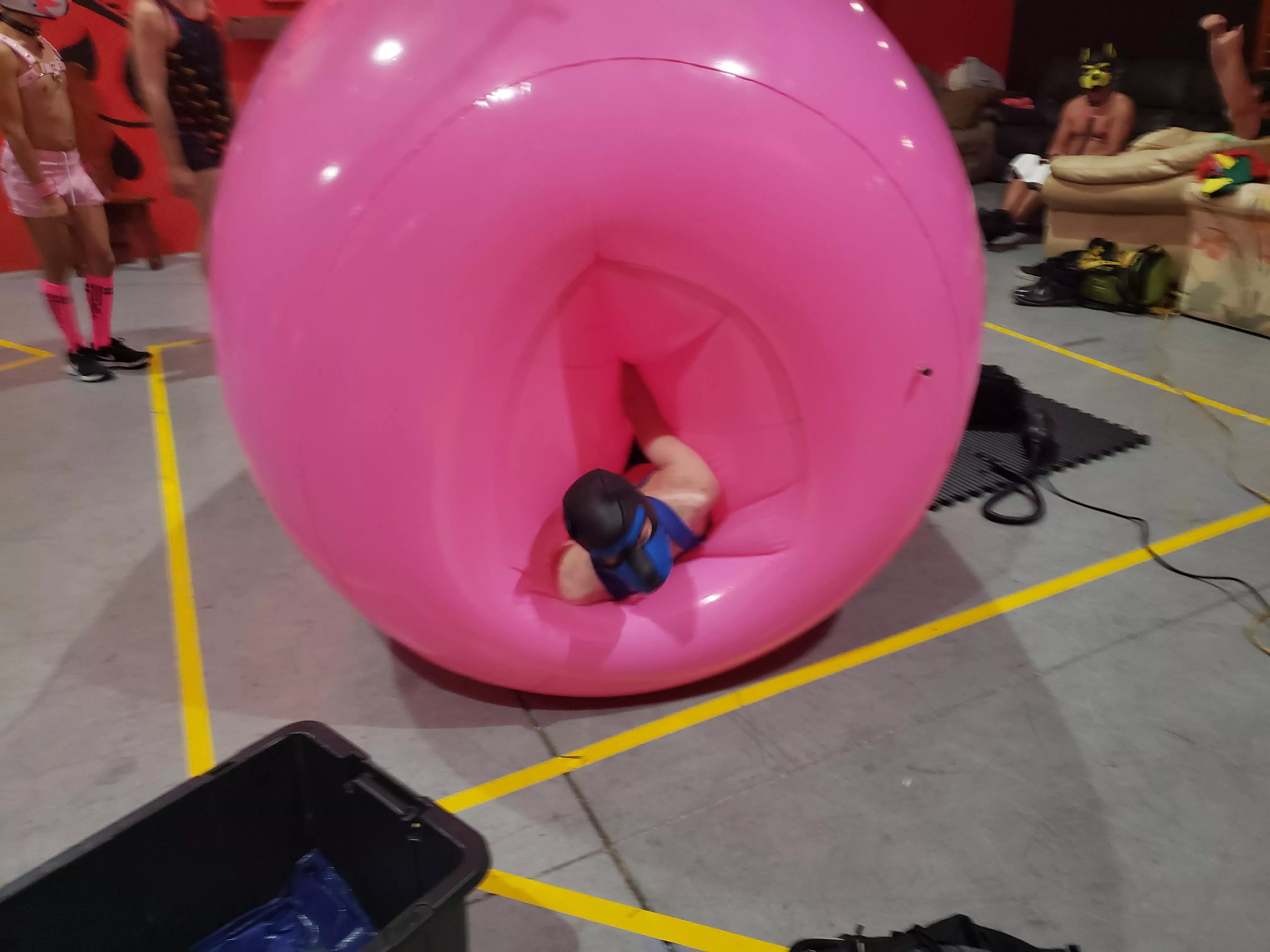 Rolling a pup around in a giant inflatable