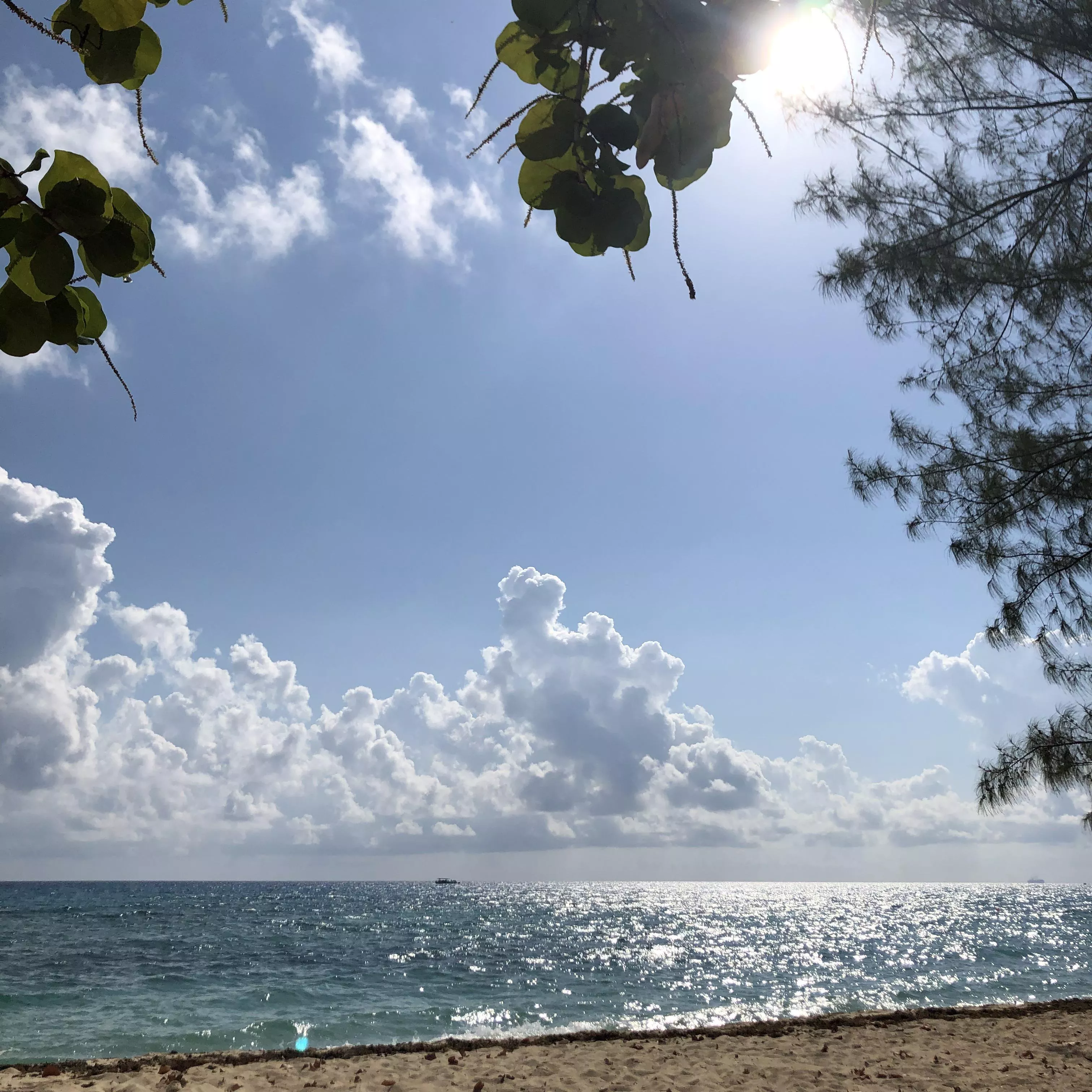 Seven Mile Beach - Cayman Islands