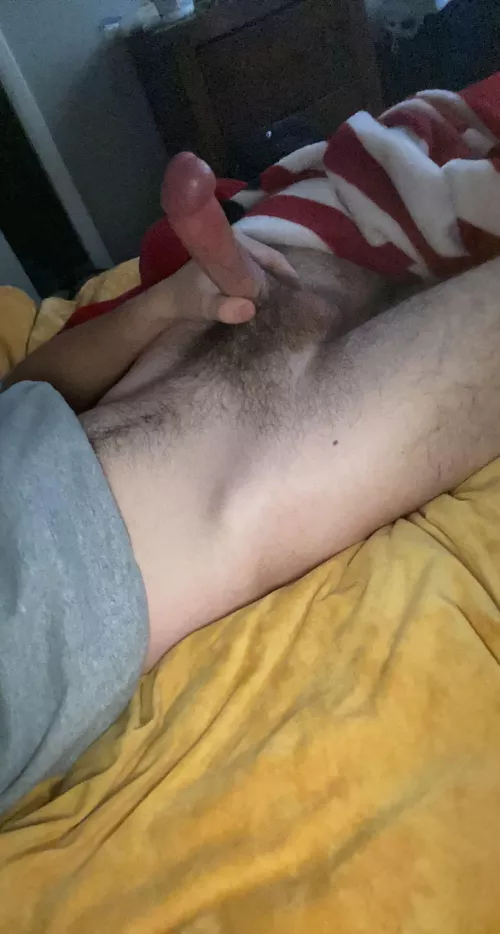 Should I get a cock piercing