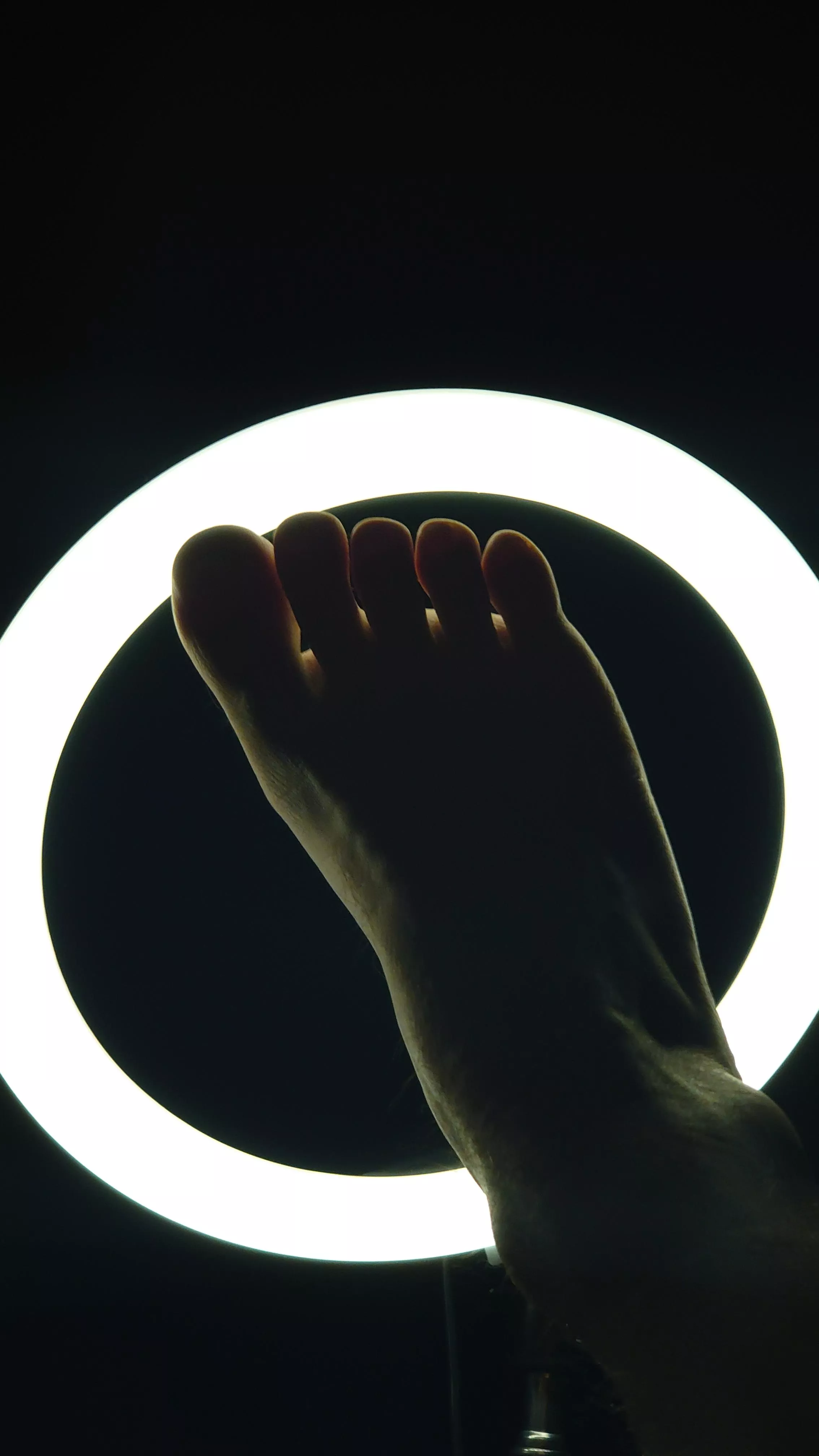 Silhouette