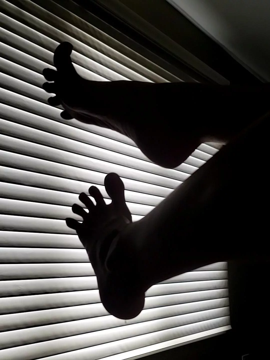 Silhouettoes