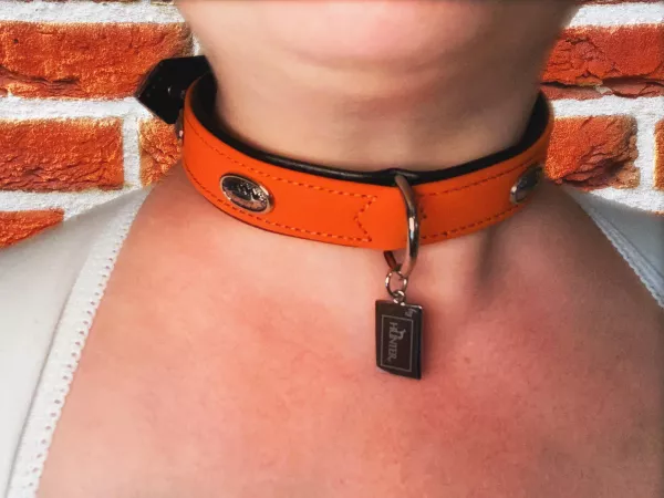 Sir got me a new collar! I love it so much! [F]