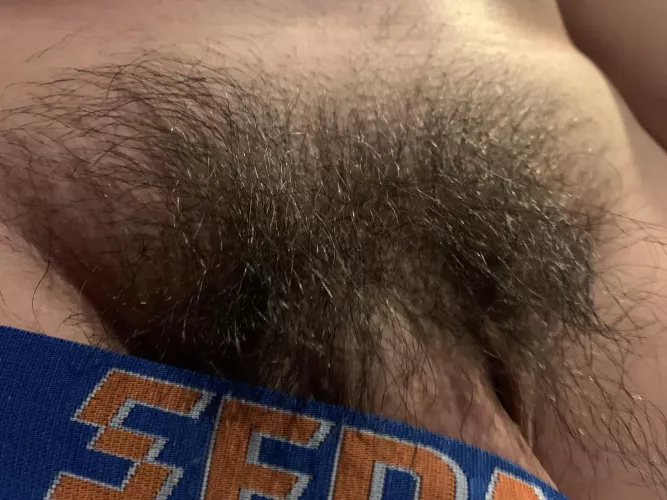 Smooth bro with wild bush…not the best 🥺, but just wanted to share my progress on no shaving Nov😘