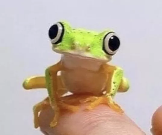 So does she still do any type of onlyfans if yes send me a link to her page if no have a nice day