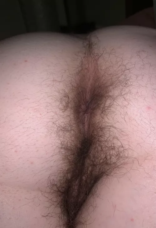 So I heard you like hairy asses?😏
