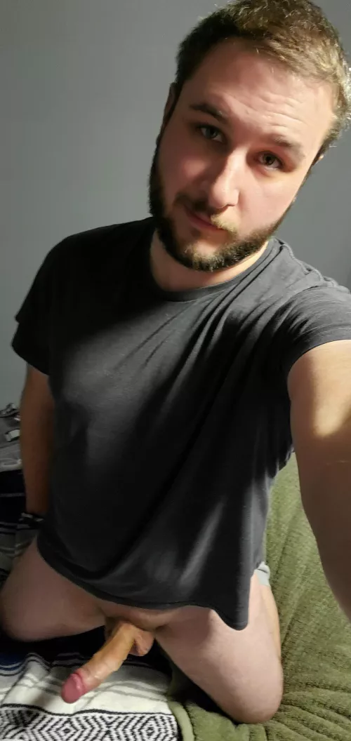 Spending Hump Day teasing redditors I chat with. How are you spending yours?