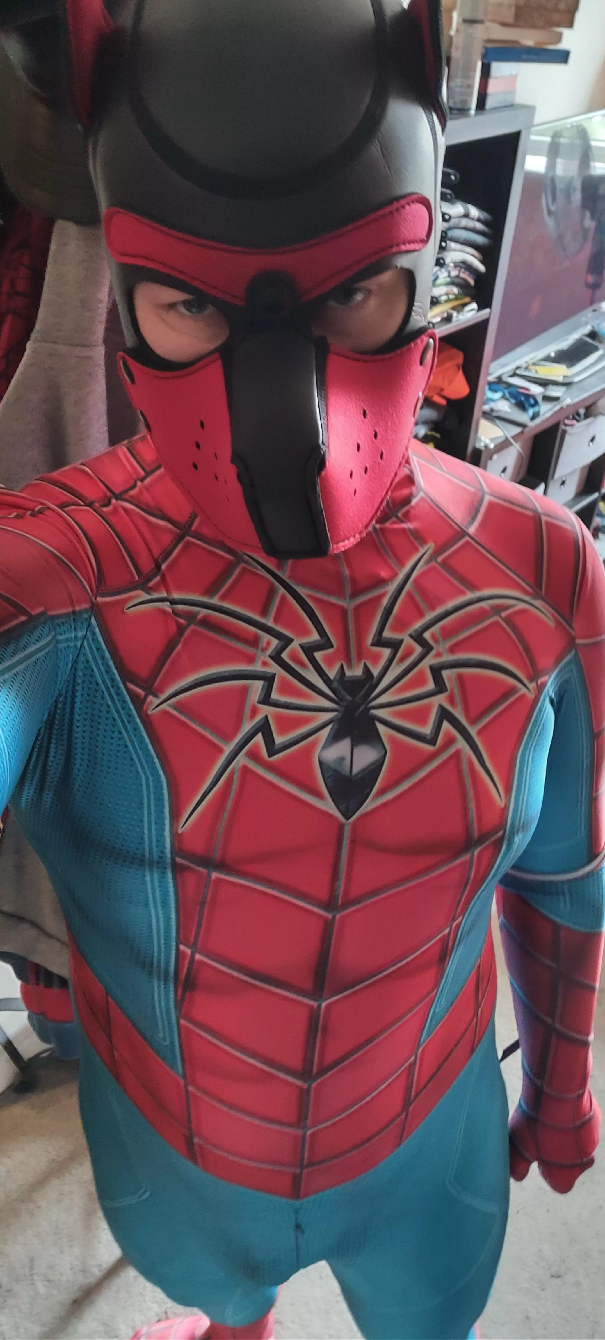 Spider-Dog
