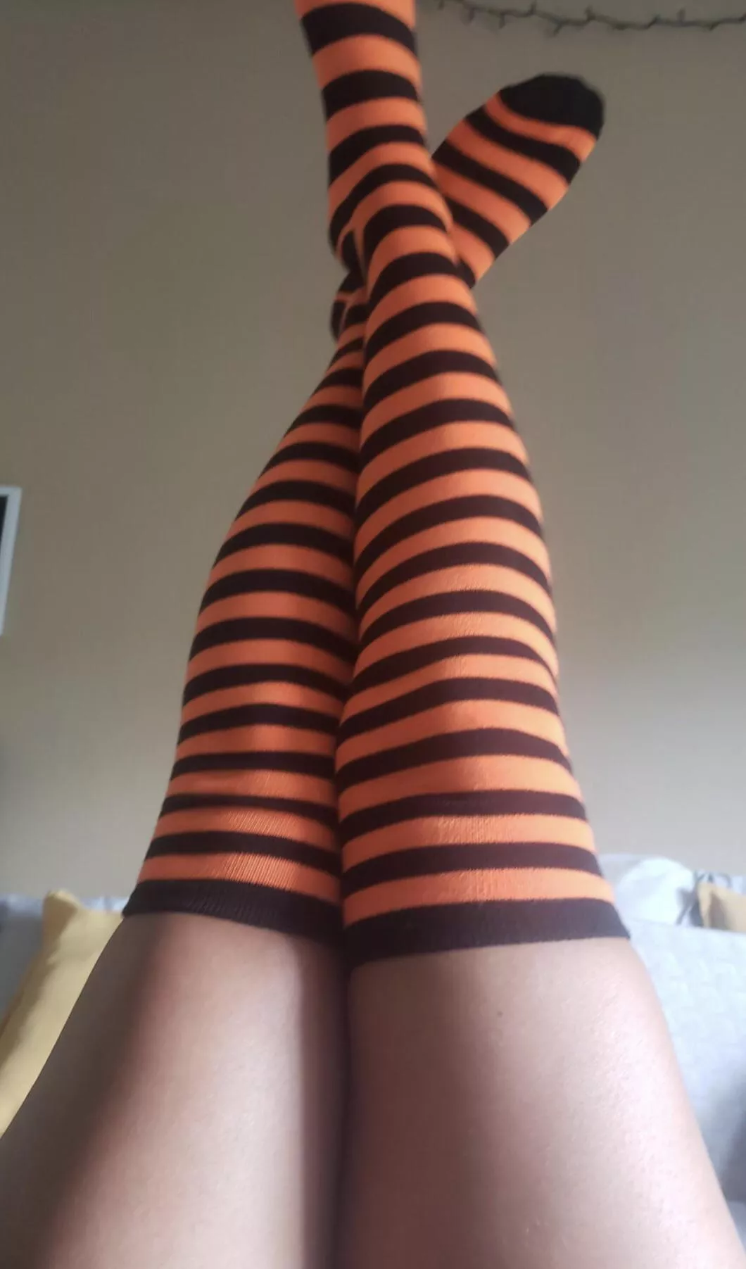 Spooky&Comfy